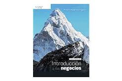 INTRODUCCION A LOS NEGOCIOS